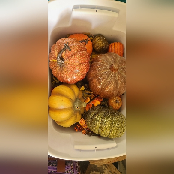 Decorations - Picture 9 of 16